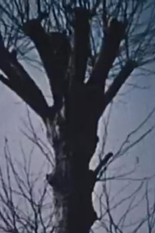 Automne (1961) poster