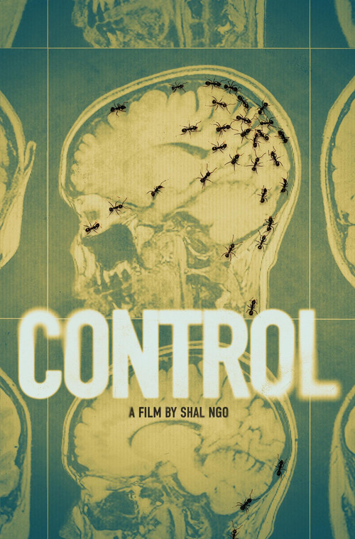 Control (2021) poster