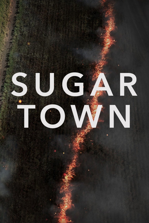 Sugar Town (2018) poster