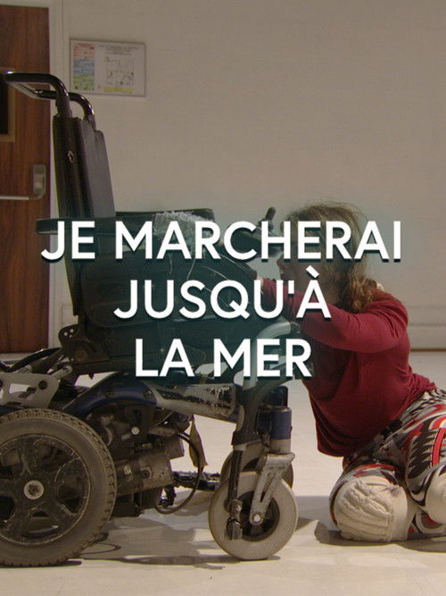 Je marcherai jusqu'à la mer (2013) poster