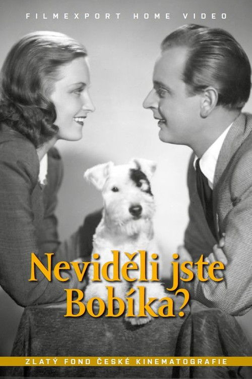 Neviděli jste Bobíka? (1944) poster