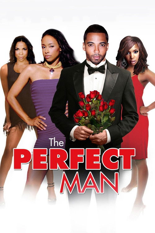 The Perfect Man (2011) poster