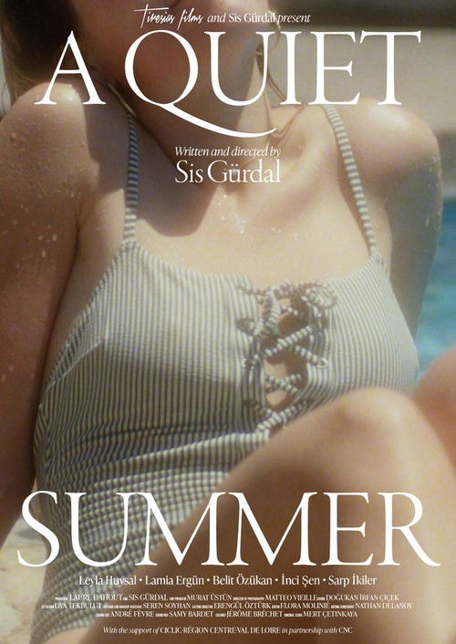 A Quiet Summer (2022) poster