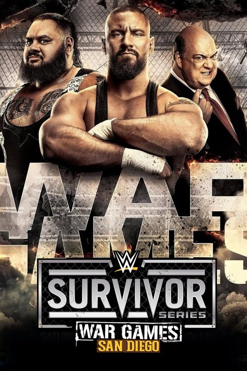 Survivor Series: WarGames (2025) poster