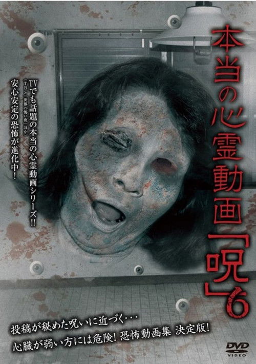 Hontō no Shinrei Dōga 'Noroi' 6 (2013) poster