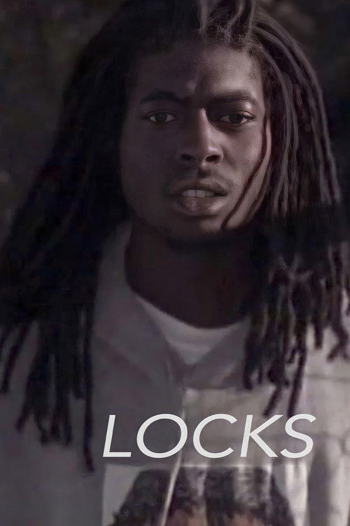 Locks (2009) poster