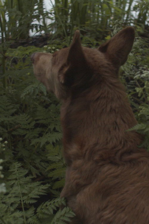 Reality and Fiction (2021) poster