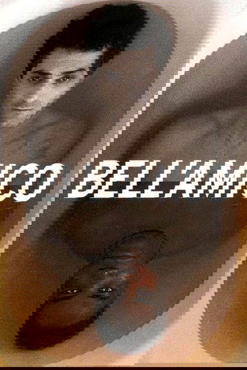 Bell'amico (2003) poster