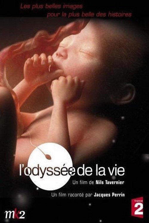 L'odyssée de la vie (2006) poster
