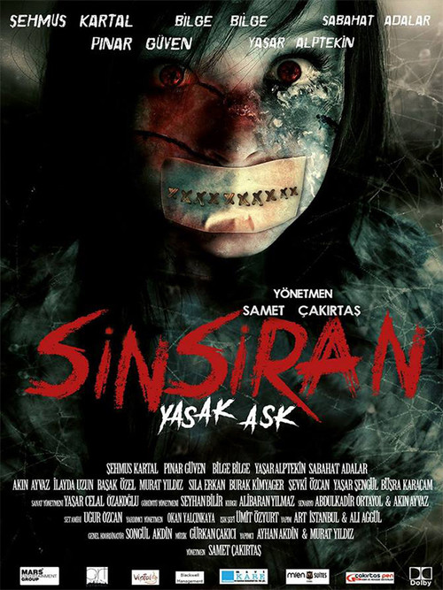 Sinsiran: Yasak Aşk (2017) poster