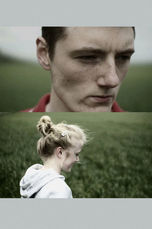 Last Sunday (2011) poster