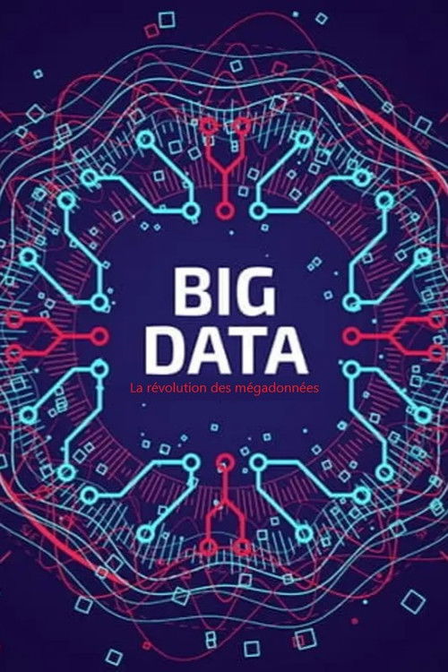 Big Data - La révolution des mégadonnées (2014) poster
