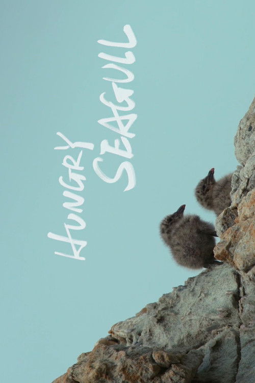 Hungry Seagull (2019) poster