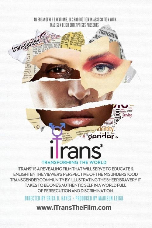 iTrans* (2016) poster