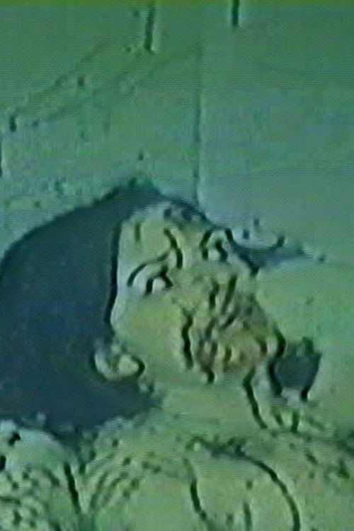 Escape (2000) poster