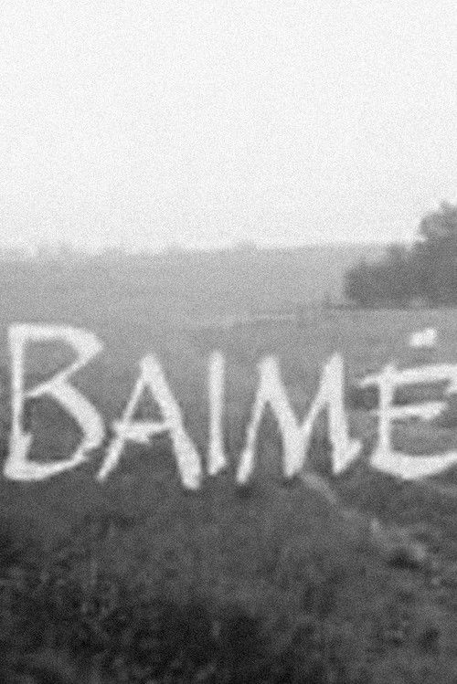 Baimė (1996) poster