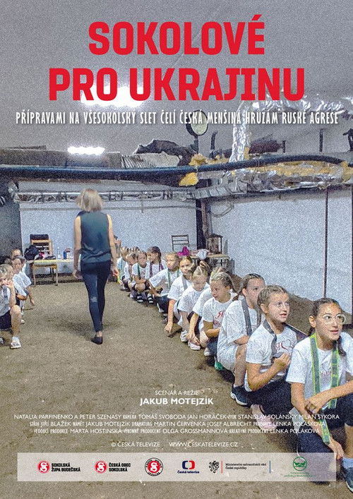 Sokolové pro Ukrajinu (2023) poster