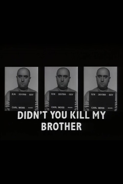 Didn't You Kill My Brother? (1988) poster