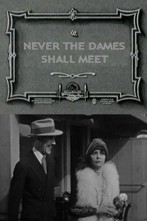 Never the Dames Shall Meet (1927) poster