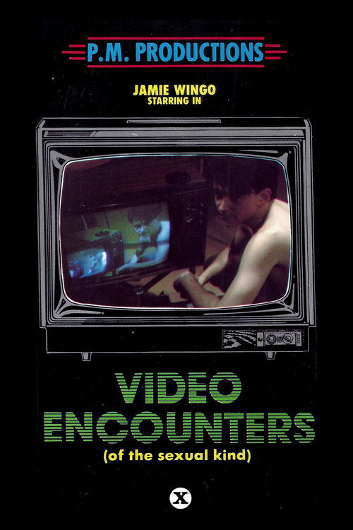 Video Encounters (of the Sexual Kind) (1983) poster