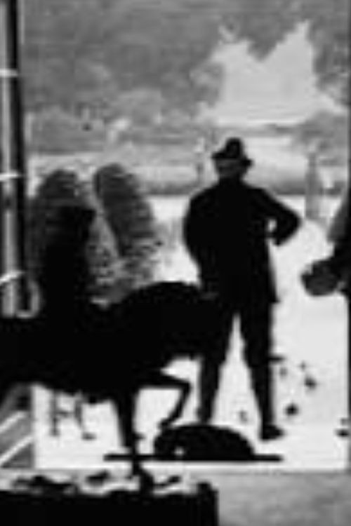 Some of the Life of Our Emperor in Doorn (1928) poster