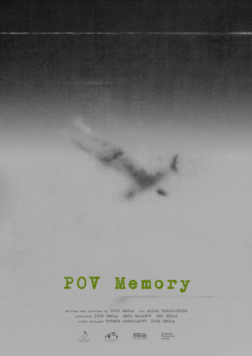 POV Memory (2023) poster