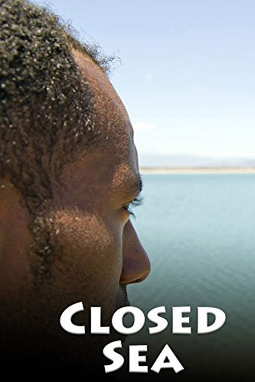 Mare chiuso (2012) poster