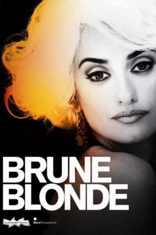 Brunes et Blondes (2010) poster