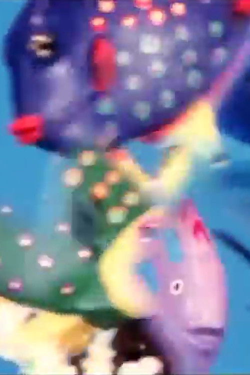 Fishtank (2004) poster