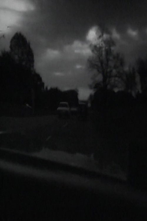 Mayday Realtime (1971) poster