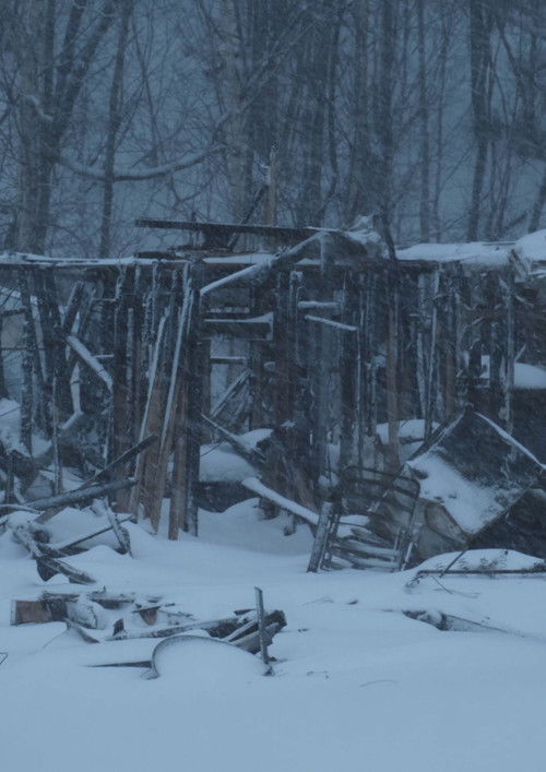 The hands of my grandmother (2024) poster