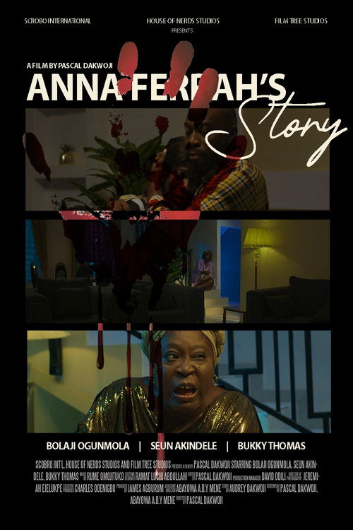 Anna Ferrah's Story poster