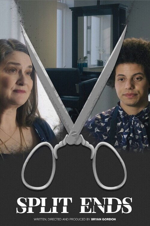 Split Ends (2024) poster