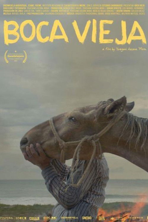 Boca Vieja (2025) poster