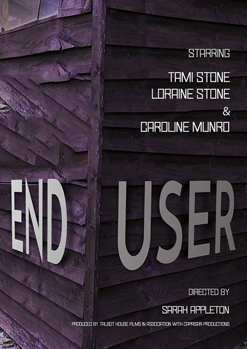 End User (2018) poster