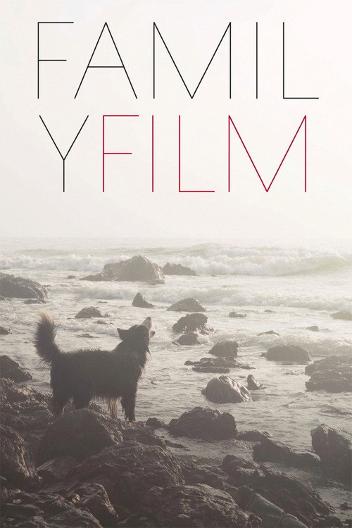 Rodinný film (2016) poster