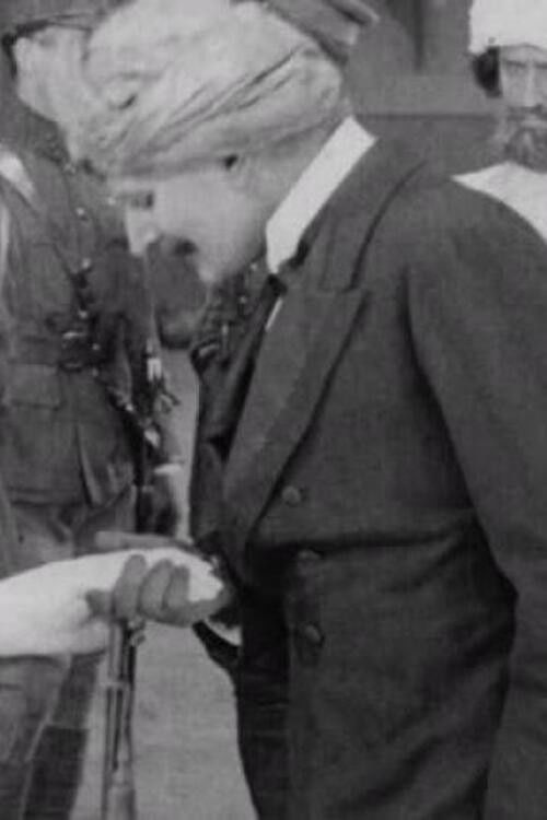 The Ring and the Rajah (1914) poster