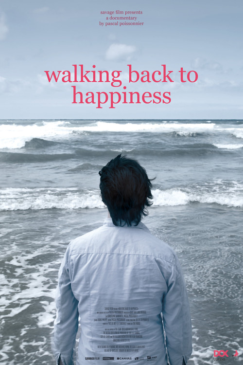 Walking Back to Happiness (2010) poster