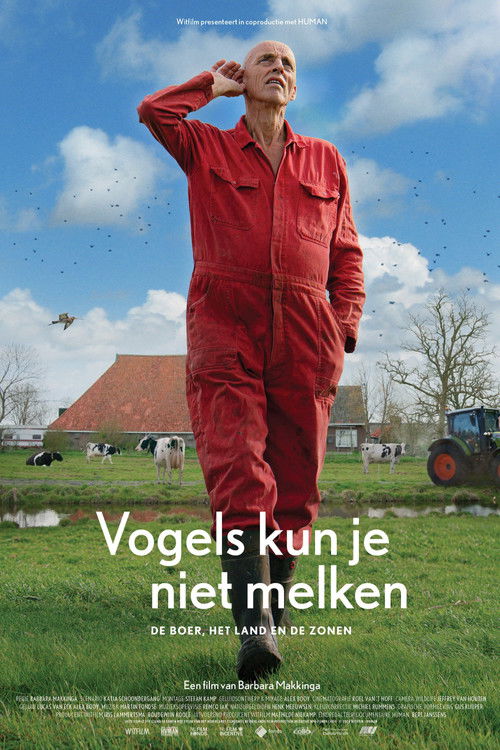 The Godwit was here (2024) poster