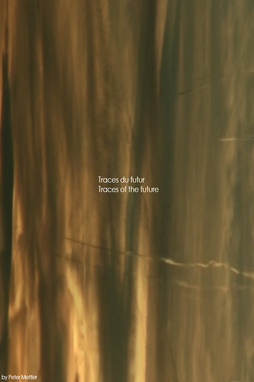 Traces of the future (2014) poster