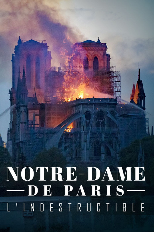 Notre-Dame de Paris, l'indestructible (2020) poster