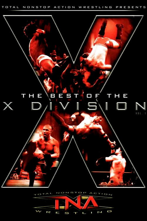 The Best of the X Division Vol. 1 (2005) poster