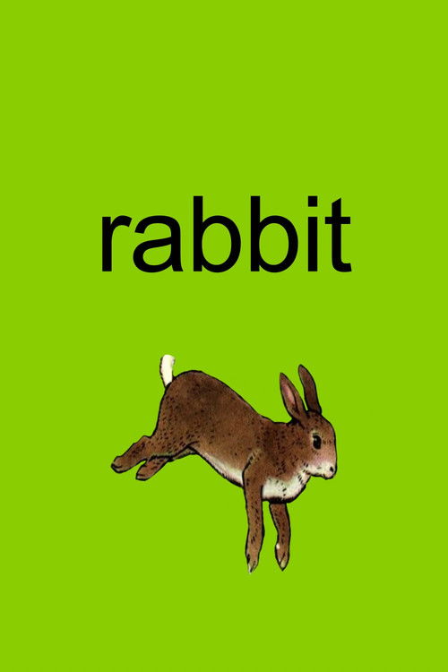 Rabbit (2005) poster