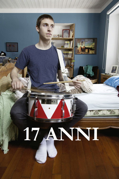 17 anni (2013) poster