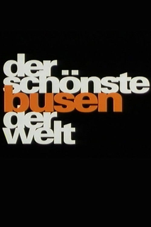 Der schönste Busen der Welt (1990) poster