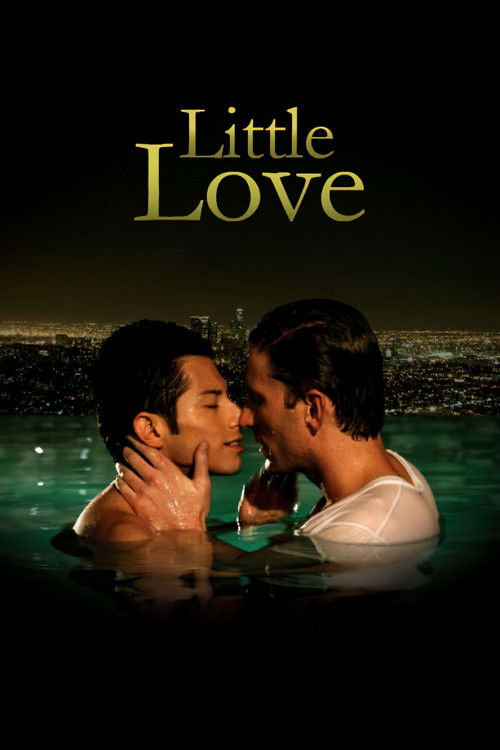 Little Love (2010) poster