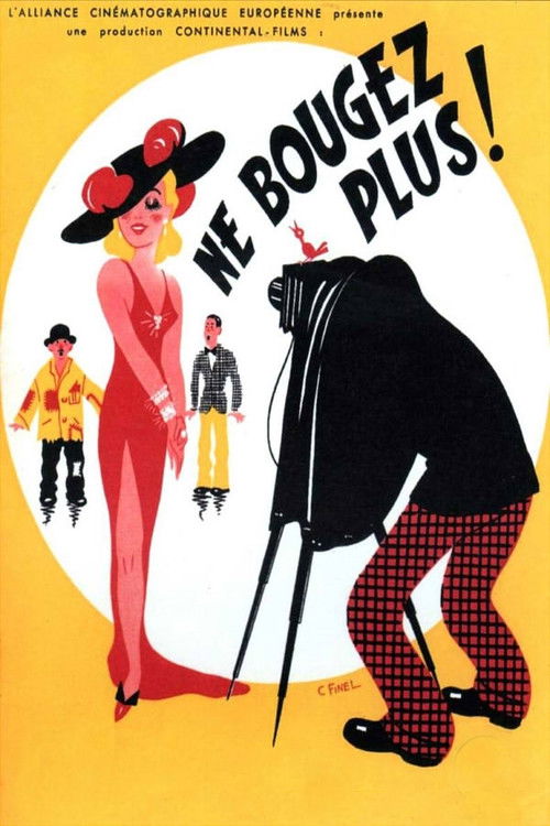 Ne bougez plus ! (1941) poster