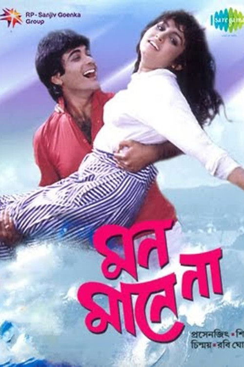 মন মানে না (1993) poster
