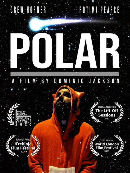 Polar (2019) poster