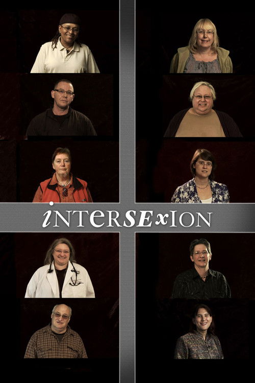 Intersexion (2012) poster